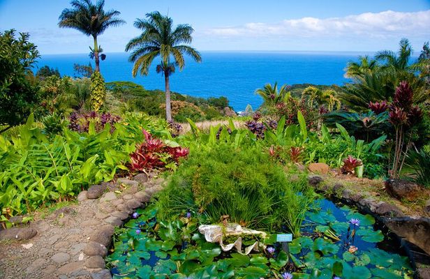 VIP Private Road to Hana Tour in Cadillac Escalade with Pickup