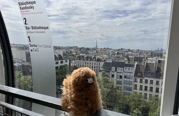 Centre Pompidou: Museum Ticket Entry& 3h Private Guided Tour