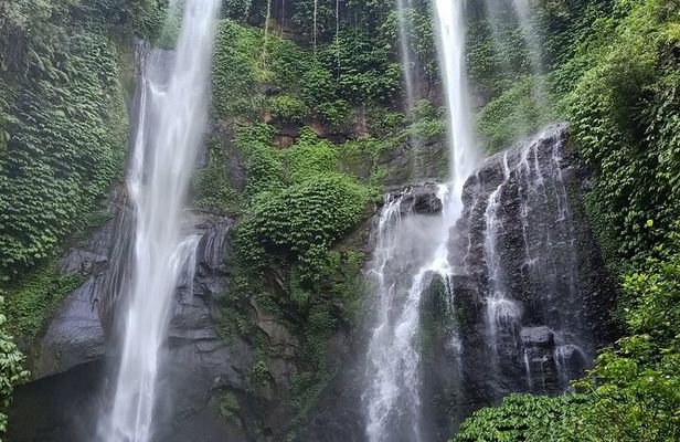 North Bali Sekumpul Waterfall, Banyumala Waterfall & Temple Tour
