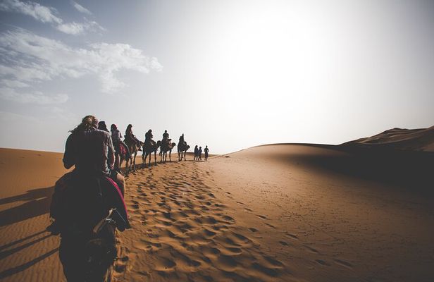 2 Days 1 Night Adventure from Marrakech to Fes via Desert