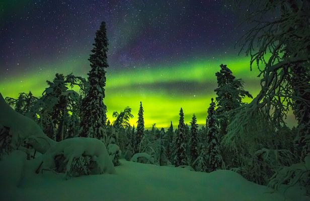 Northern Lights Hunting of Rovaniemi