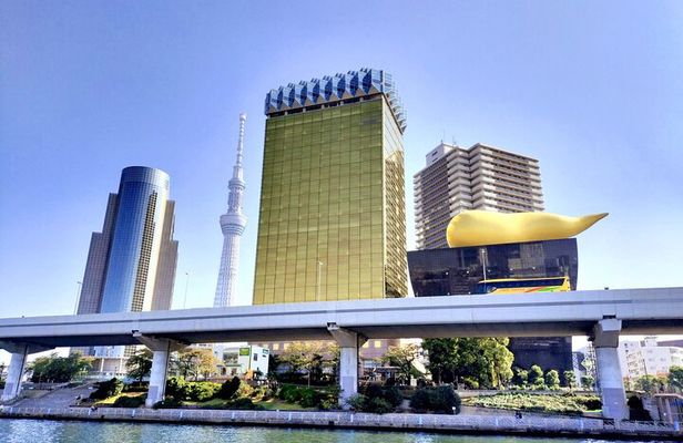 Tokyo Private Half Day Tour with Licensed Guide by Car
