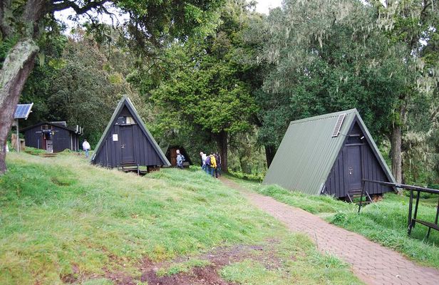 Kilimanjaro 1 Day Hike on the Marangu Route