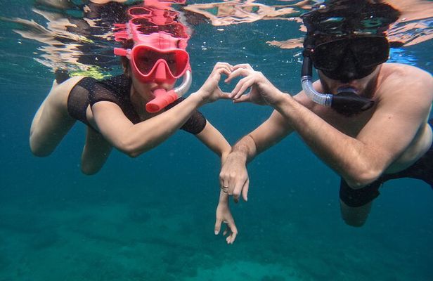 Snorkeling Adventure in Musandam with lunch