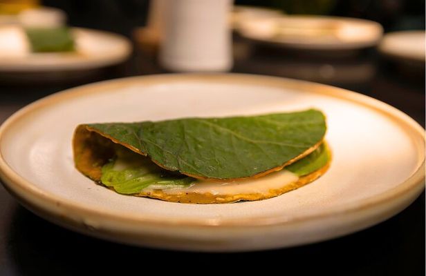 Michelin Taco Bike Tour: Roma Norte & Condesa /All-Inclusive.