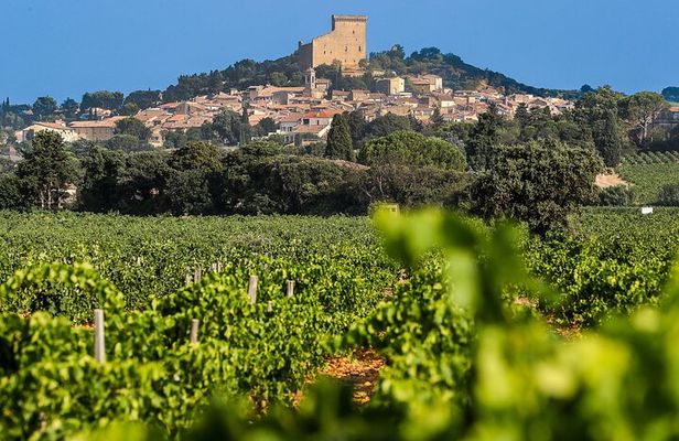 Wine Tasting Tour at Châteauneuf du Pape