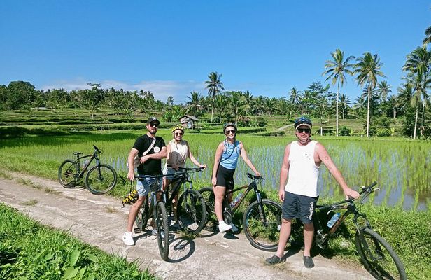 Ubud All-Inclusive Downhill Cycling Private Tour with Volcano