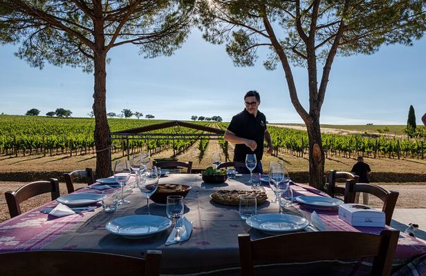 DRINK&FOOD: Private Vineyard and Winery Tour with Tasting 