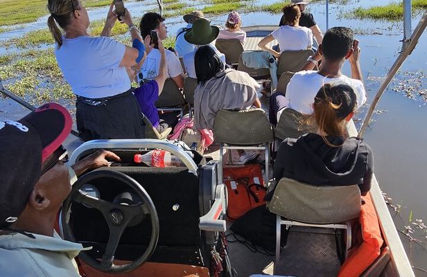 Chobe Day Trip