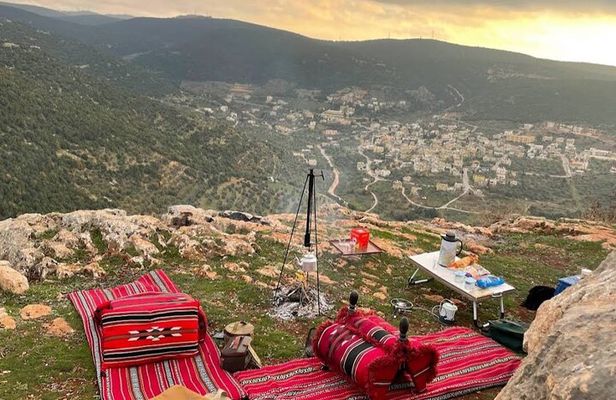 Full Day History Tour to Jerash and Ajloun Castle