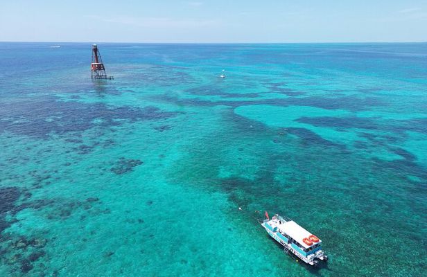 Historic Carysfort Lighthouse Snorkeling Tour