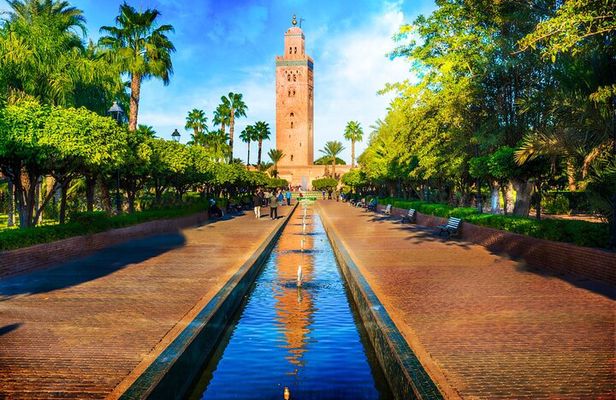 Discovery of Marrakech with Camel Ride from Casablanca
