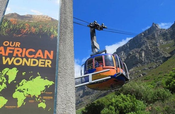Full-Day Penguins & Cape Point with Table Mountain Cable Car