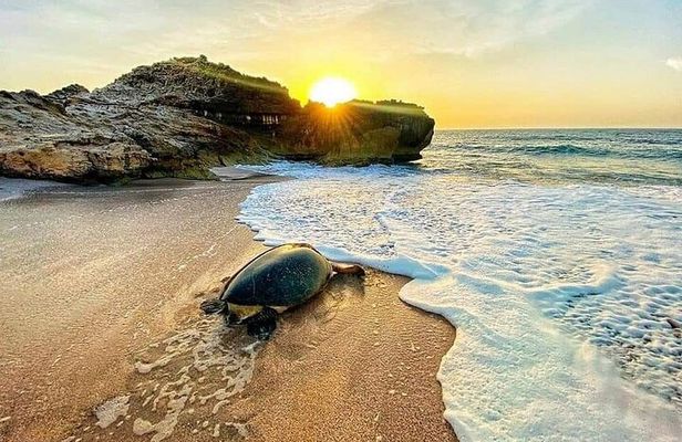 Explore Oman in 3 Days Private Roundtrip of Top Highlights