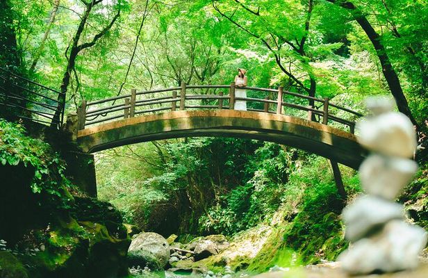 From Fukuoka: Takachiho Gorge One Day Private Guide Tour