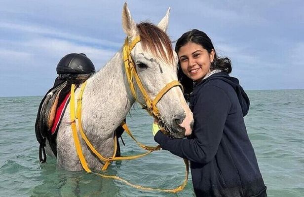 Swimming by Horse 3 Hours ,Beach, Desert, transfer - Hurghada