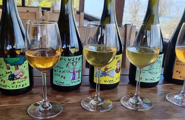 Private Wine Tour In Kakheti Region with 7 Wines and Lunch