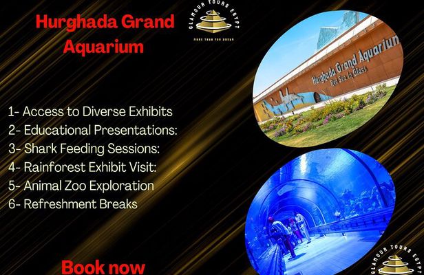 2 Hours Red Sea Wonders Tour at Hurghada Grand Aquarium