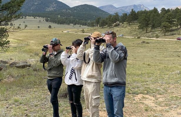 Full Day Tour in Rocky Mountain National Park Lunch Included