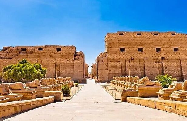 Luxor Half-Day Tour ,karnak Temple & Luxor Temple, All inclusive