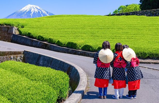 Mt. Fuji Highlight Photo Spots One Day Tour from Tokyo