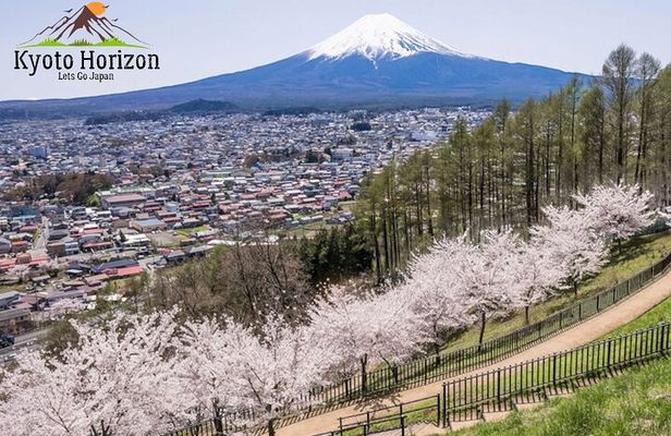 English Guided Mt. Fuji and Lake Kawaguchi Group Tour