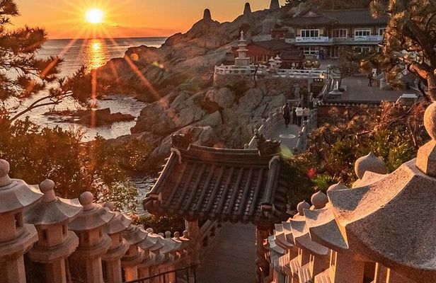 A well-rounded small group Busan tour with a certified guide