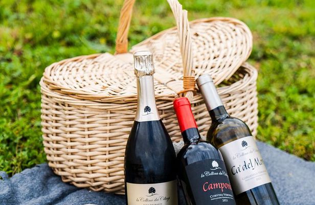 Verona E-Bike&Picnic