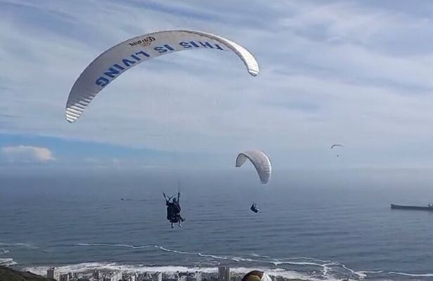Private Paragliding Adventure and Constantia Wine Tasting Tour