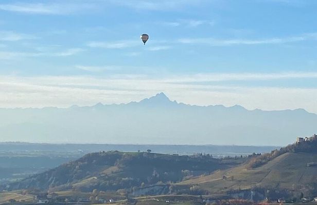 Discover Langhe wines with private tour and expert sommelier