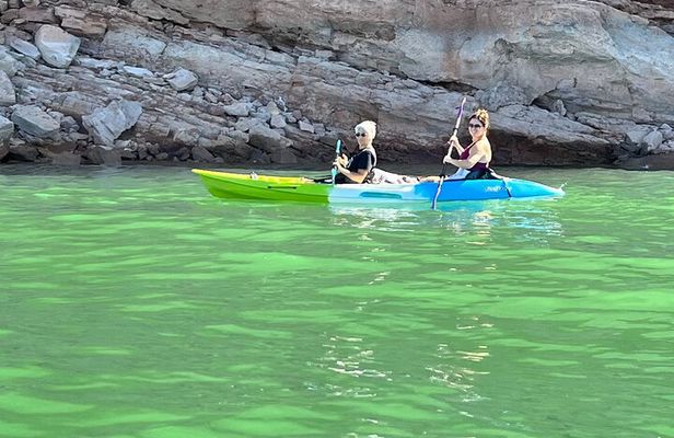 Kayak/SUP Tour: Birds, Beavers, Turtles, maybe even Cliff Jumping