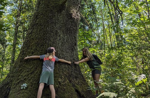 Whistler: Immersive Nature Experience for Families