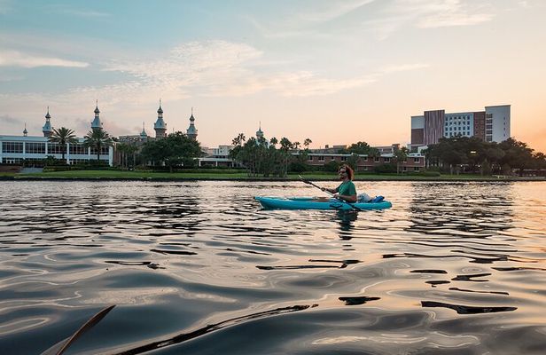 Clear Kayaking Glow Tour in Tampa Riverwalk