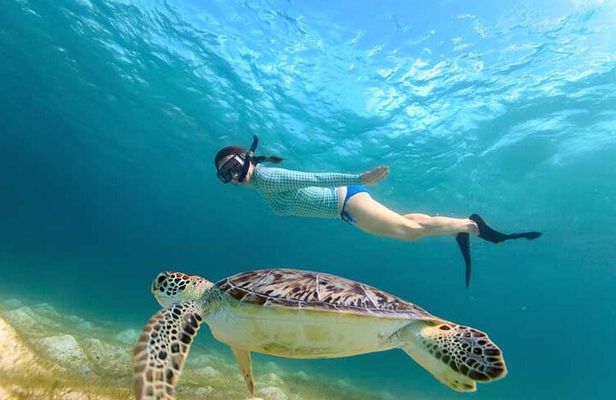 Swim with Turtles in Akumal, Cenote and Visit the Archaeological Zone