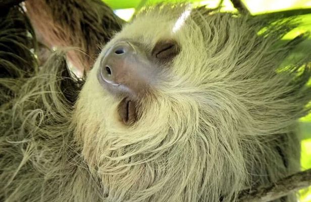 Manuel Antonio Park Guided Tour - Admission Ticket Included