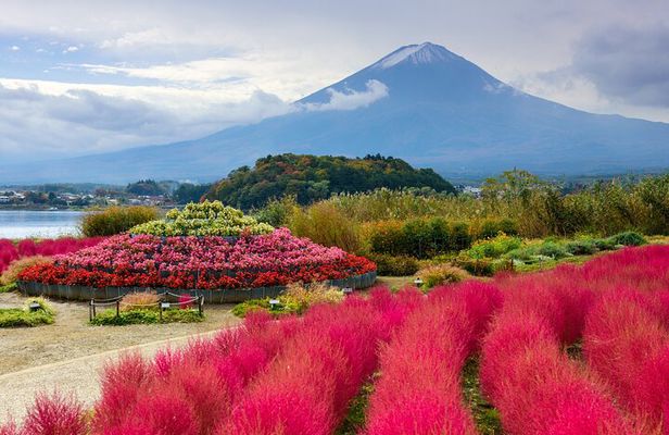 From Tokyo: Mount Fuji Highlights Tour with Kawaguchi Lake Cruise