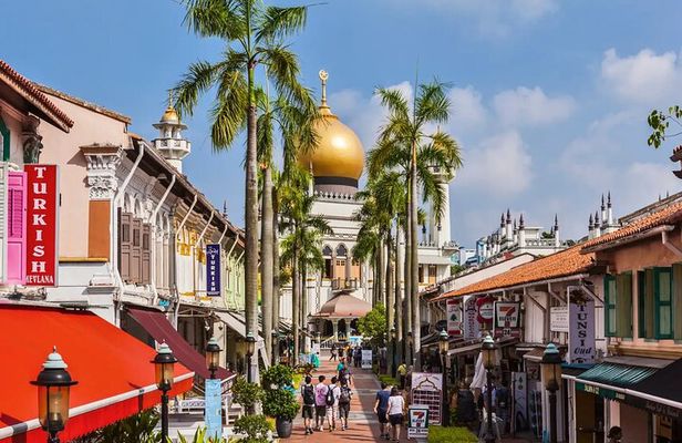 Best Singapore Tour for Cruise Passengers