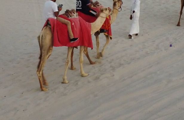 Private Doha Quad Bike, Horse Ride, Camel Ride All Inclusive Tour
