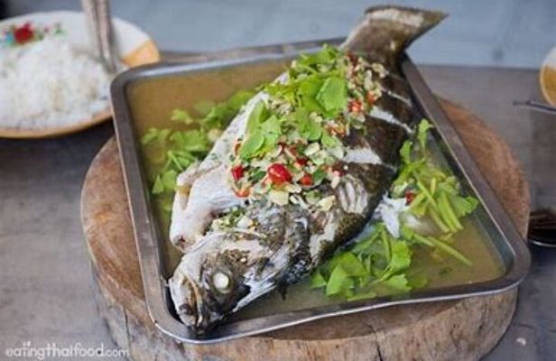 Fishing & Island Lunch Cruise from Koh Samui – Catch & Relax