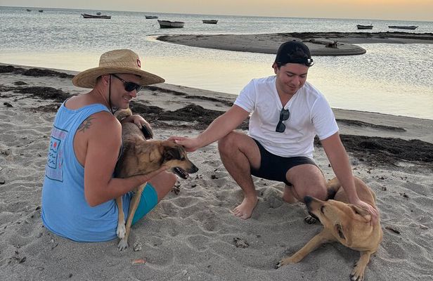 Saving Animals Tour in La Guajira (4 days / 3 nights)