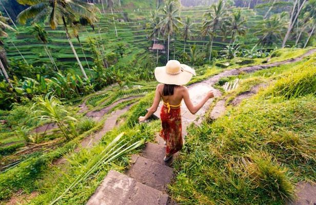 Ubud Full Day Tour: Private and Customizable