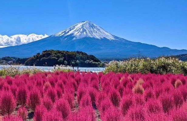 Mount Fuji Private Day Tour by certified Guide & Licensed vehicle