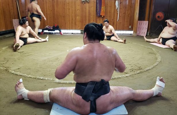 Sumo Practice Viewing Guided Tour and Photo with Sumo Wrestlers