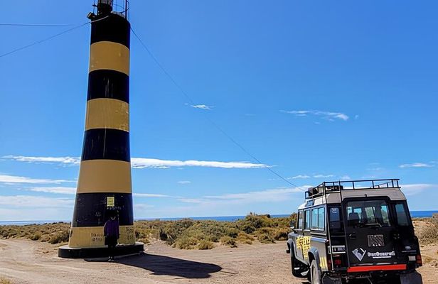 Experience 4x4 in Punta Ninfas