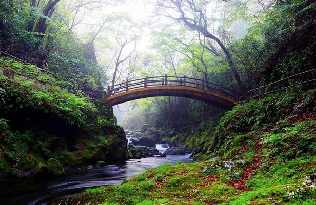 Day Tour to Miyazaki Takachiho Gorge & Shrine depart from Fukuoka