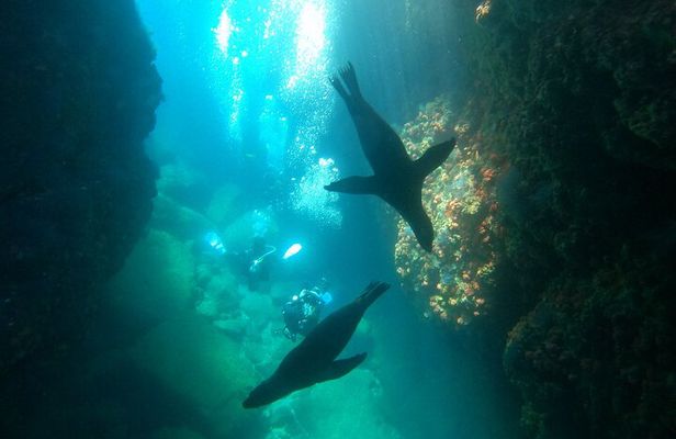 Espiritu Santo Island Snorkeling and Beach Hopping
