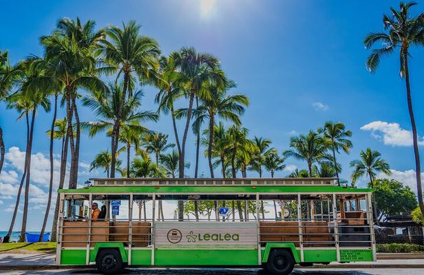 7 Day Pass LeaLea Trolley and Waikiki Trolley Pink Line