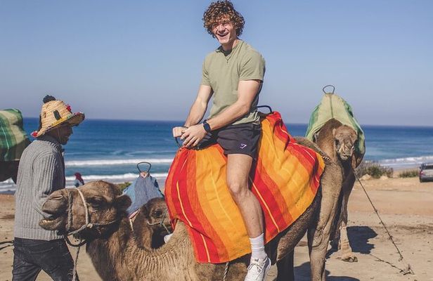 Luxury Marbella to Tangier Day Trip : Ferry, Camel, food & Souks
