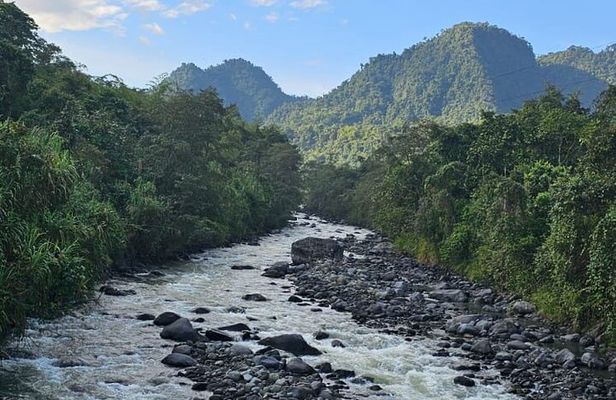 2 Day Mindo Cloud Forest Birdwatching Tour from Quito