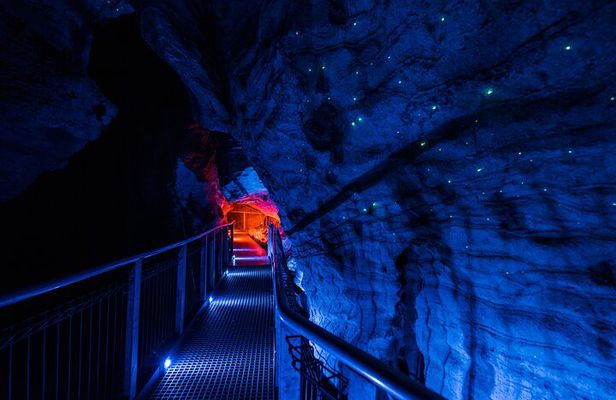 Ruakuri Cave and Hamilton Gardens Private Day Tour from Auckland